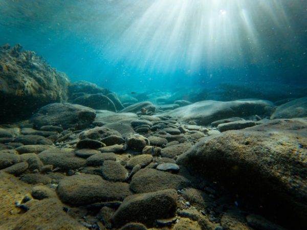 海底の岩