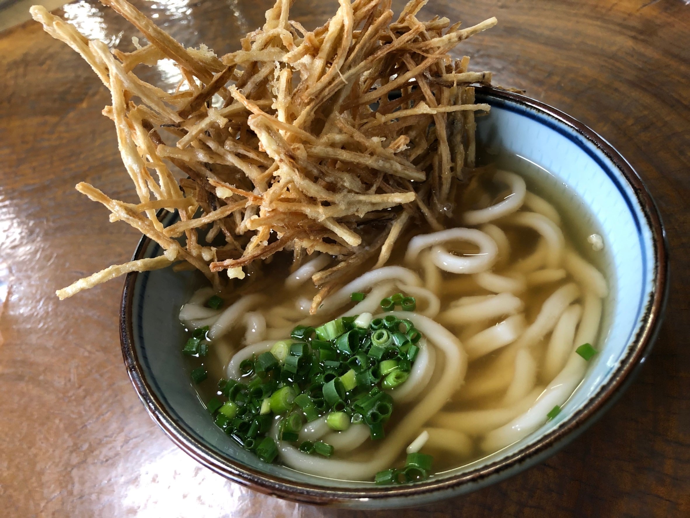 ごぼう天うどん