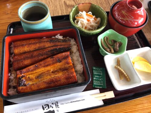 養殖うなぎ